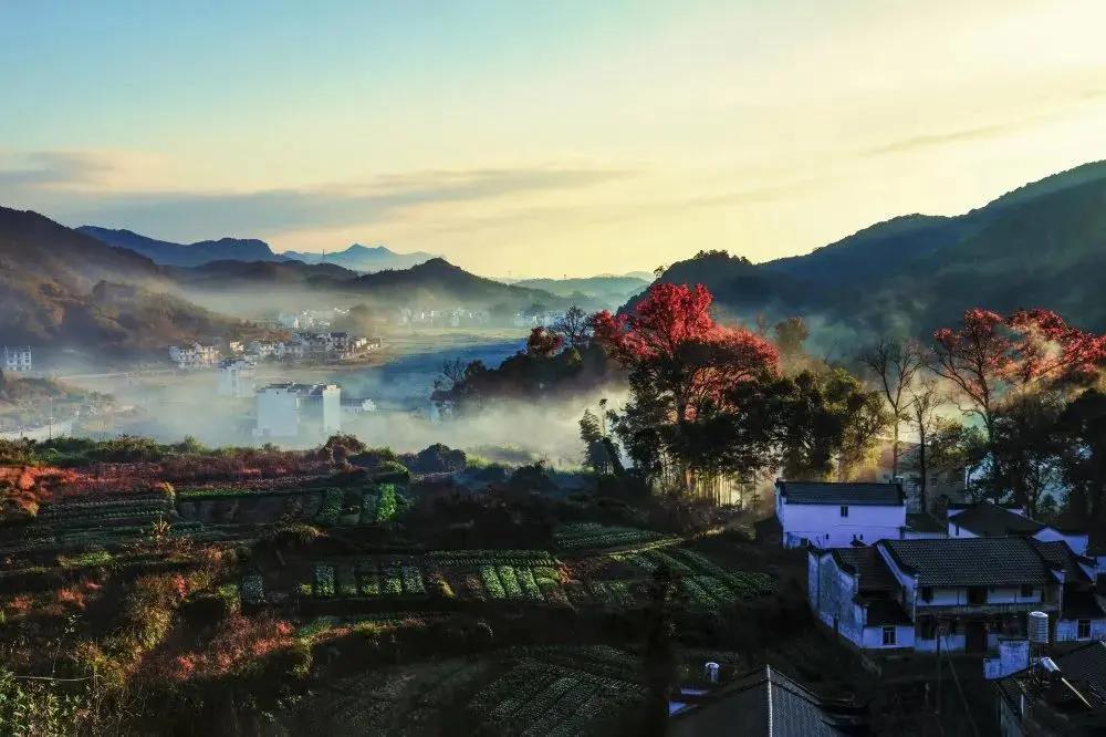 美麗島